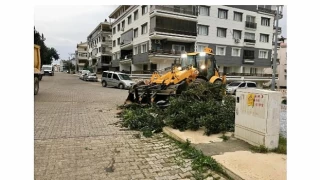 Didim Belediyesi Ekipleri Her Koşulda Sahada